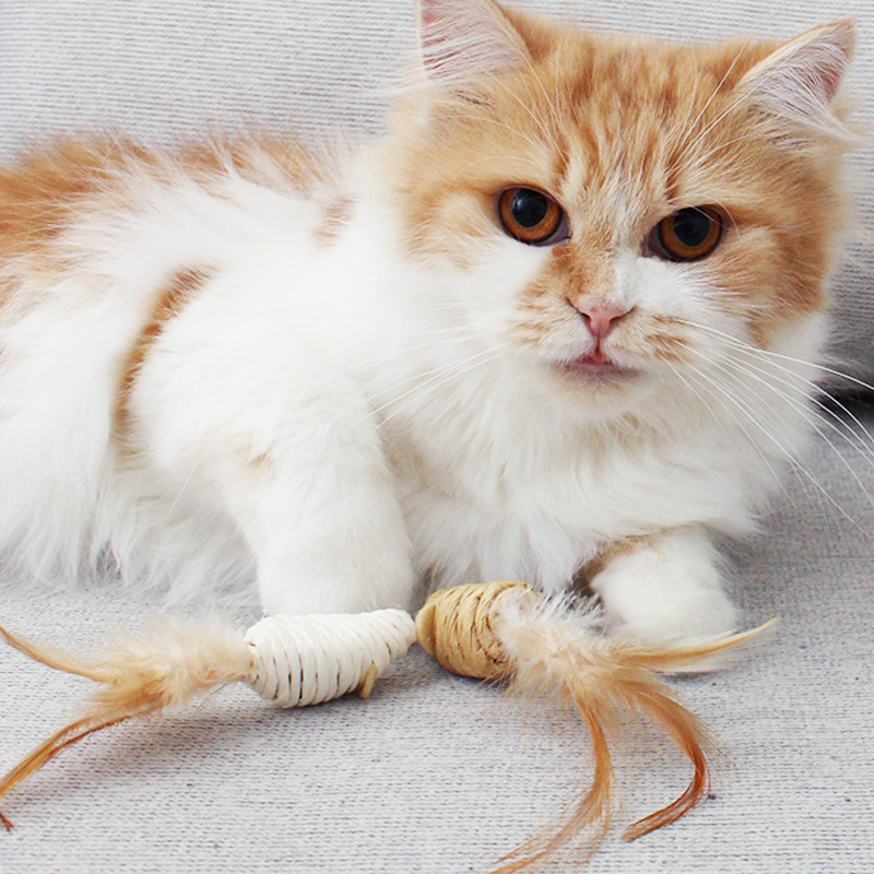Wholesale Custom Logo Squeaky Feather Mouse Cat Toy