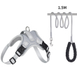 Grey harness +leash