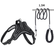 Black harness +leash