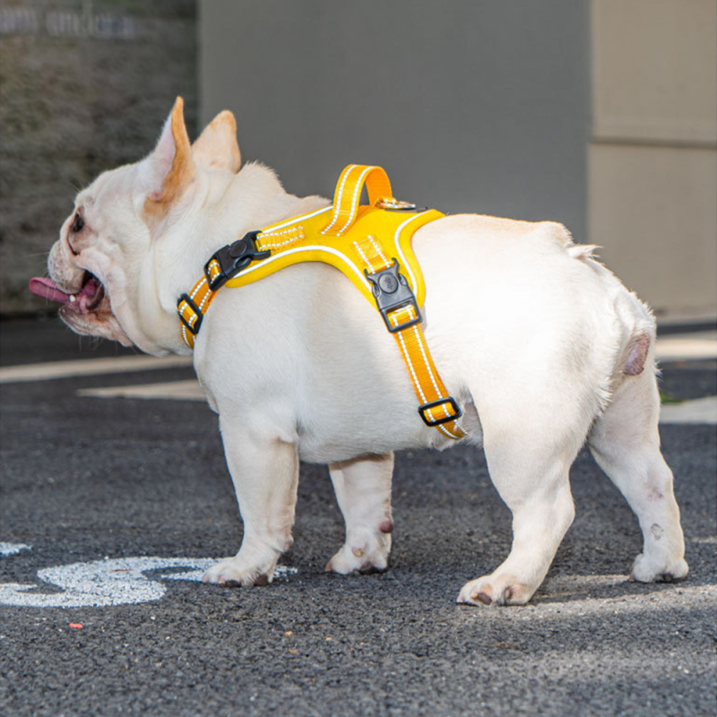 Wholesale Pet Supplier Reflective Pet Dog Pulling Harness