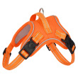 Orange harness