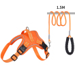 Orange harness +leash
