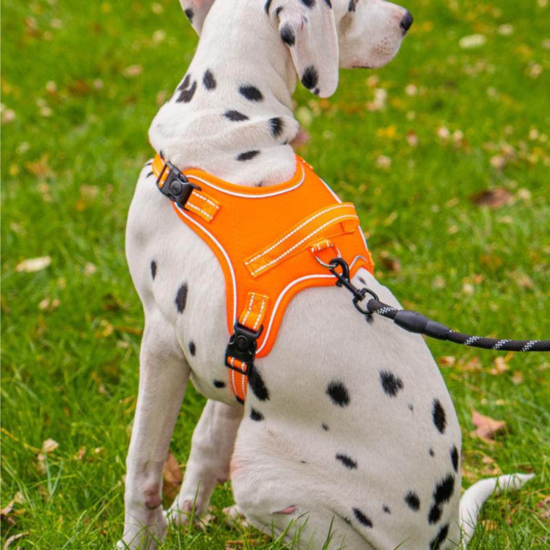 Wholesale Pet Supplier Reflective Pet Dog Pulling Harness