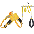 Yellow harness +leash