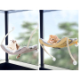 Manufacturer wholesale stable sucker hanging window cat hammock with blanket