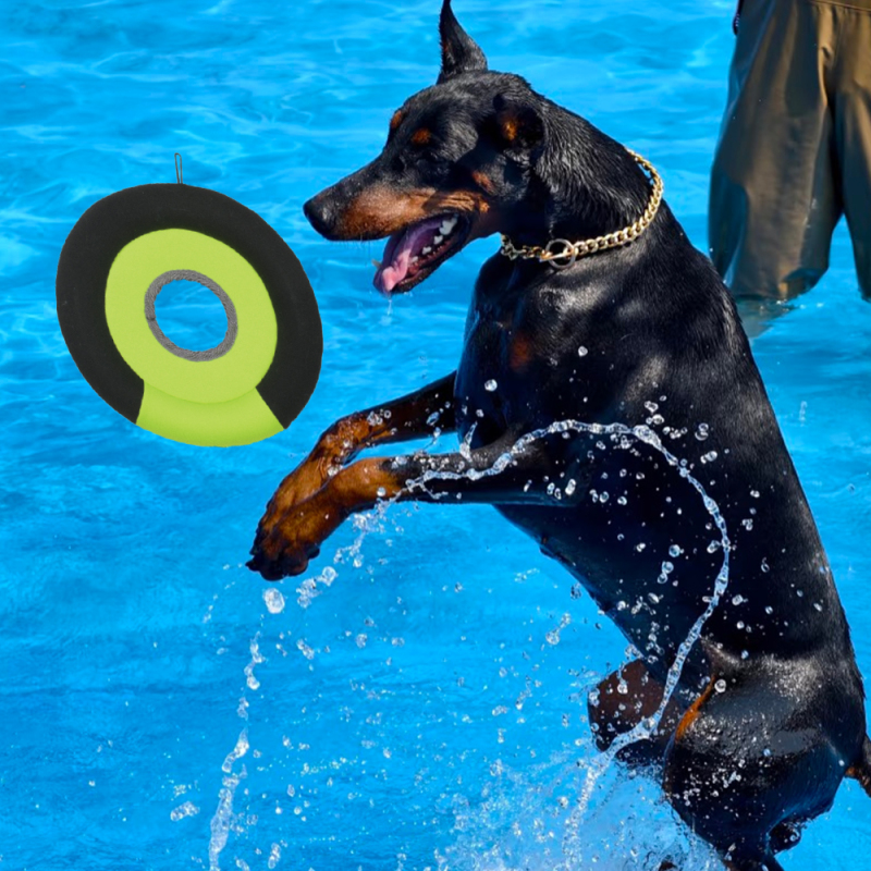 Manufacturer Wholesale OEM Chew Pet Product Dog Floating Toy
