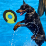Manufacturer Wholesale OEM Chew Pet Product Dog Floating Toy
