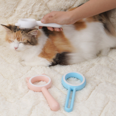 Manufacturer wholesale cute design double-sided cat brush with ear