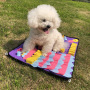 Manufacturer wholesale feeding washable portable polyester pet dog colorful snuffle mat