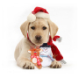 Manufacturer wholesale christmas dog elk snowman plush toys