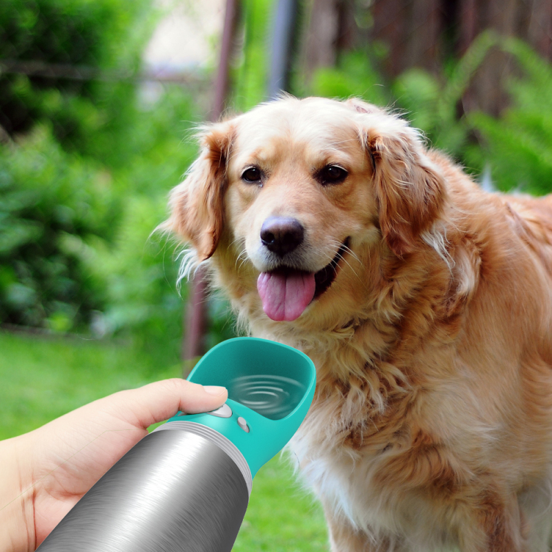 Wholesale Custom Logo Portable Large 700ML Insulated Pet Dog Travel Water Bottle