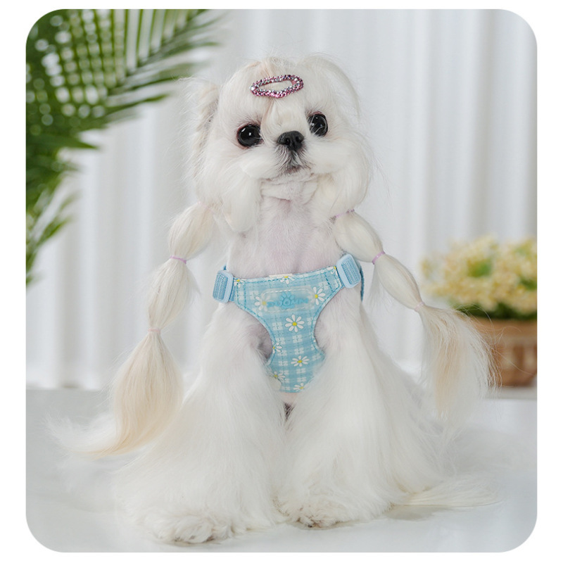 Wholesale Custom Logo Outdoor Dog Harness with Flowers