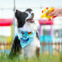 Wholesale Cute Design Squeaky Chew Dog Toy Latex