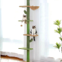 Manufacturer Wholesale Pet Product Supplier Wooden Large Cactus Cat Trees Scratcher