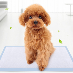 wholesale manufacturer disposable training extra large dog puppy pads