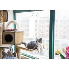 Manufacturer wholesale high load capacity sucker hanging window cat hammock