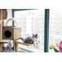 Manufacturer wholesale high load capacity sucker hanging window cat hammock