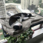 Manufacturer wholesale high load capacity sucker hanging window cat hammock