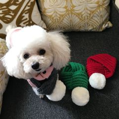 Manufacturer wholesale custom logo design red green grey warm soft pet scarves scarf for dog