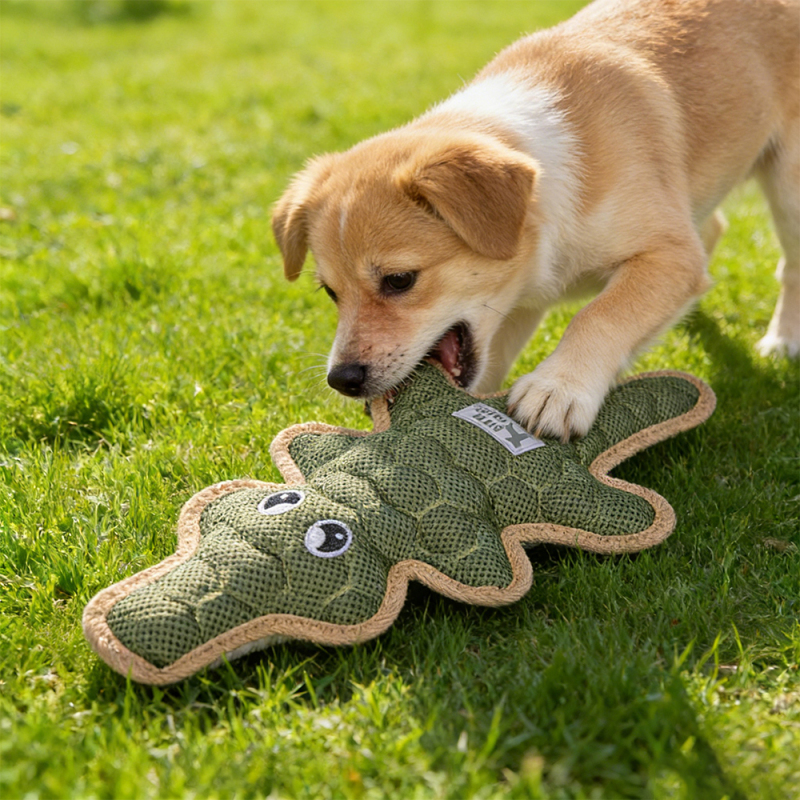 Wholesale Custom Logo Cute Squeaky Dog Pet Chew Toys