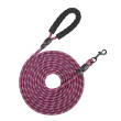 Purple 2