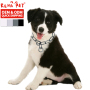 Wholesale Cheap Stainless Steel Dog Collar Training