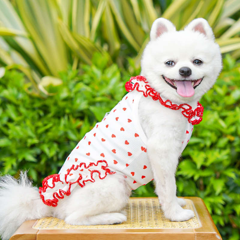 Wholesale Summer Floral Lace Cat Dog Dress