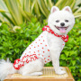 Wholesale Summer Floral Lace Cat Dog Dress