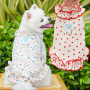Wholesale Summer Floral Lace Cat Dog Dress