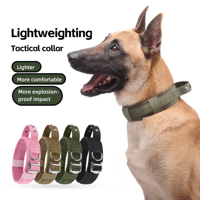Wholesale Adjustable Rivet Handle Dog Tactical Collar