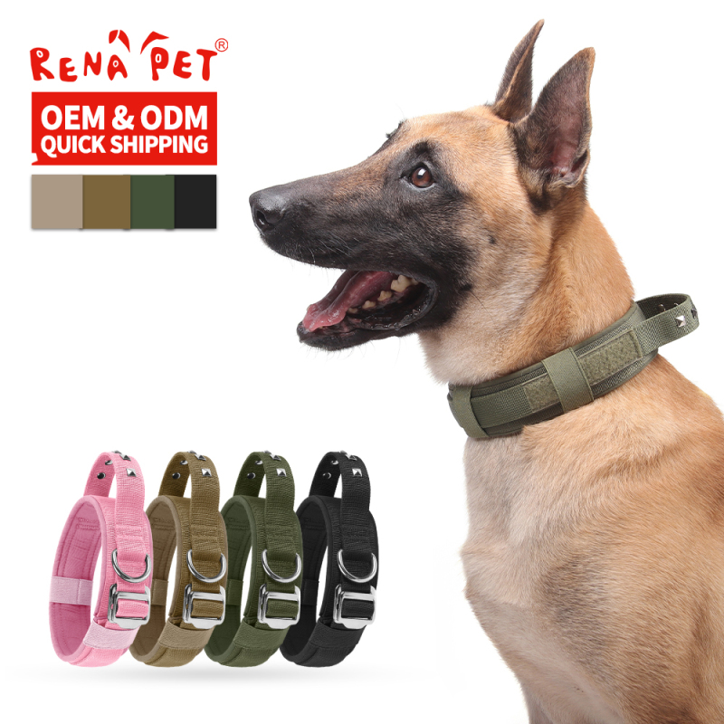Wholesale Adjustable Rivet Handle Dog Tactical Collar