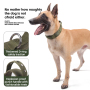 Wholesale Adjustable Rivet Handle Dog Tactical Collar