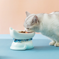 Manufacturer wholesale blue pink ceramic cat luxury bowls with ear
