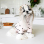 Wholesale Lacework Dog Clothes Pet Apparel