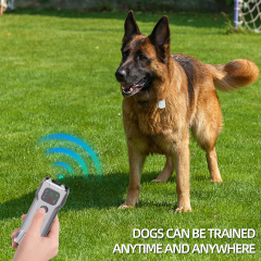 Wholesale Silencer Control Dog Bark Deterrent Device