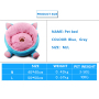 Manufacturer wholesale cute warm small dog bed with ears