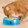 Wholesale Cheap Transparent Pet Cat Dog Bowl Plastic
