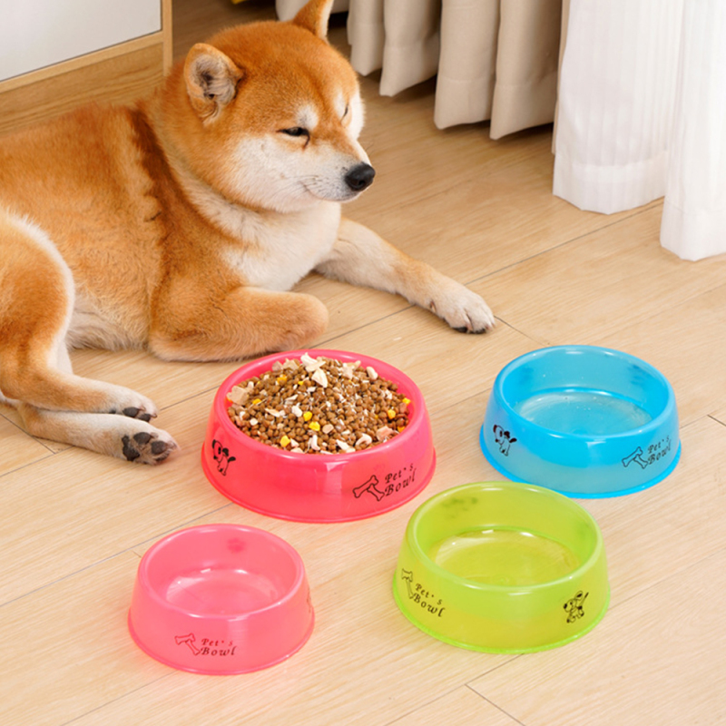 Wholesale Cheap Transparent Pet Cat Dog Bowl Plastic