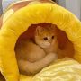 Wholesale Honey Jar Design Short Plush Cat Cave Beds