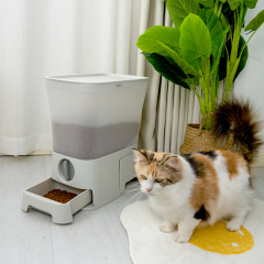 Manufacturer wholesale luxury plastic cat pet dog food storage container