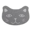 Grey cat