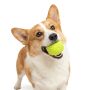 Wholesale Chew Squeaky TPR Dog Ball Toy
