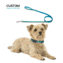 Manufacturer Wholesale Custom logo Cheap Nylon Adjustable Pet Dog Leash and Collar Set