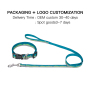 Manufacturer Wholesale Custom logo Cheap Nylon Adjustable Pet Dog Leash and Collar Set