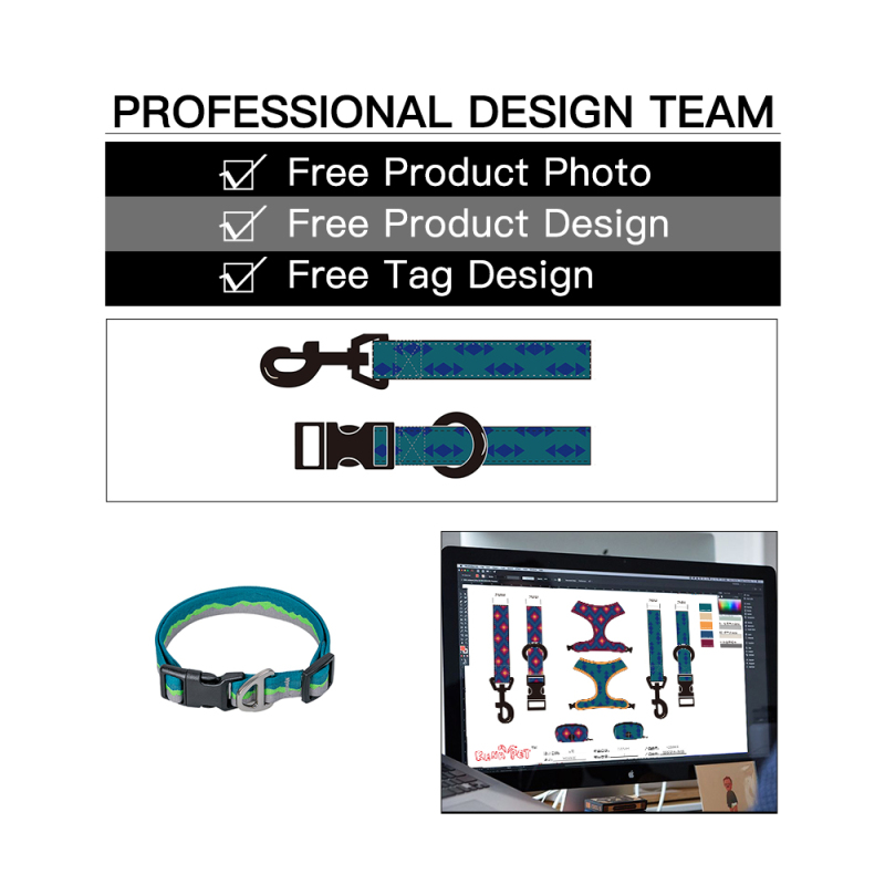 Manufacturer Wholesale Custom logo Cheap Nylon Adjustable Pet Dog Leash and Collar Set