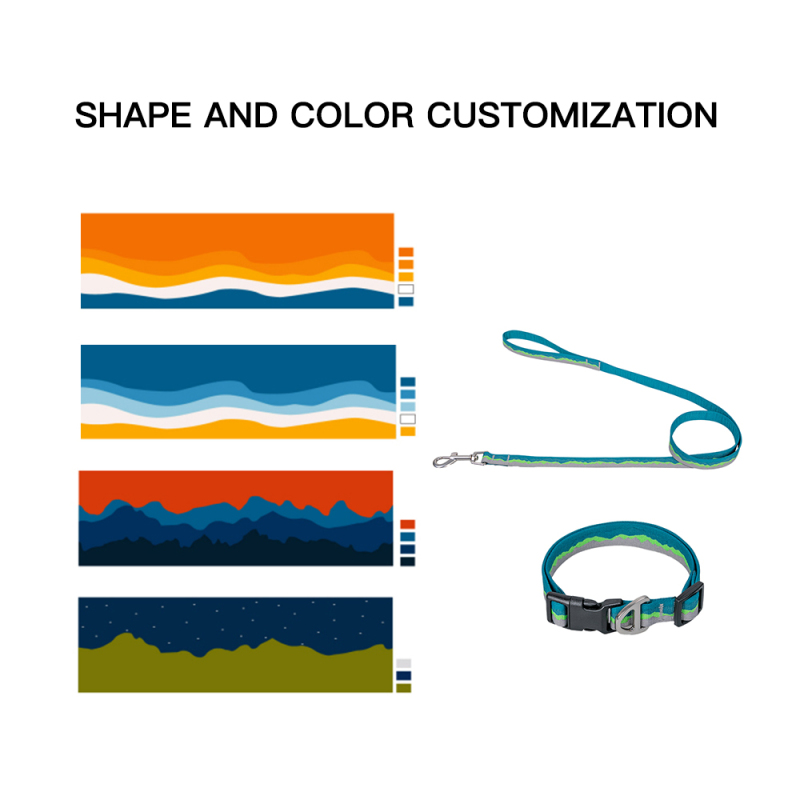 Manufacturer Wholesale Custom logo Cheap Nylon Adjustable Pet Dog Leash and Collar Set