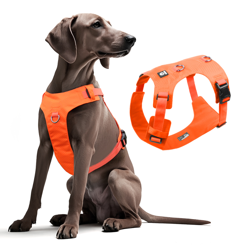 Wholesale Pet Supplier Custom Logo Dog Vest Harness