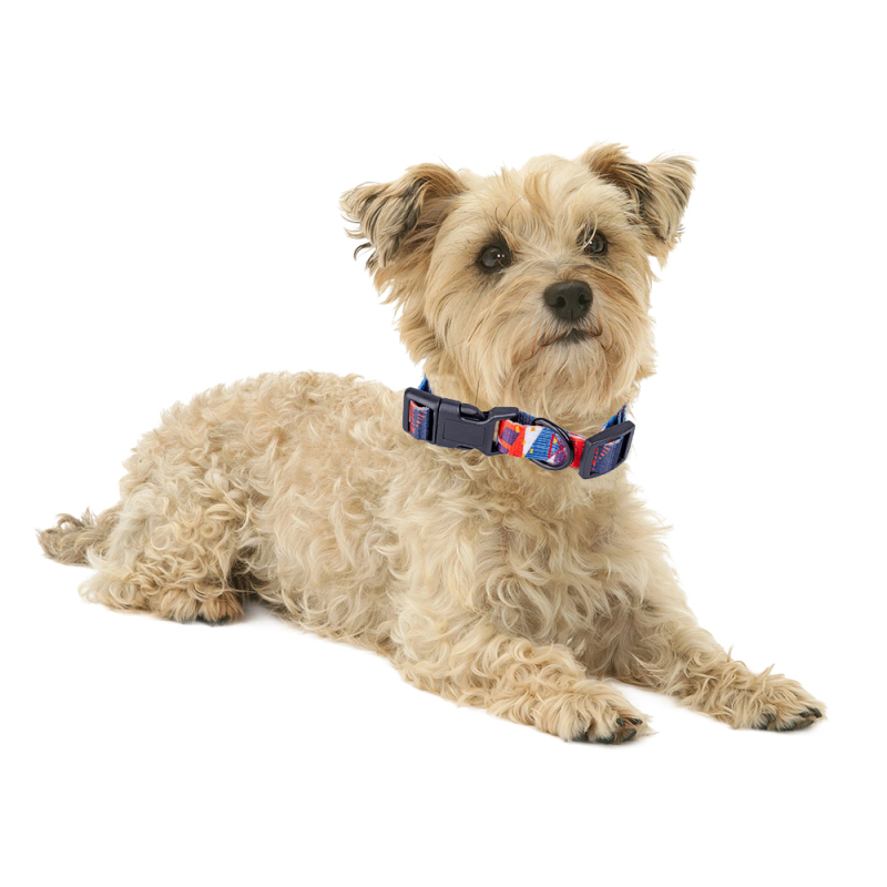 Manufacturer Wholesale Custom logo Adjustable Dog Leash Collar Harness