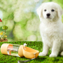 Wholesale Custom Logo 350ml 550ml Portable Dog Water Bottle Leak Proof