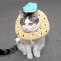 wholesale manufacturer soft pp cotton adjustable circle fruit design cat elizabeth collar